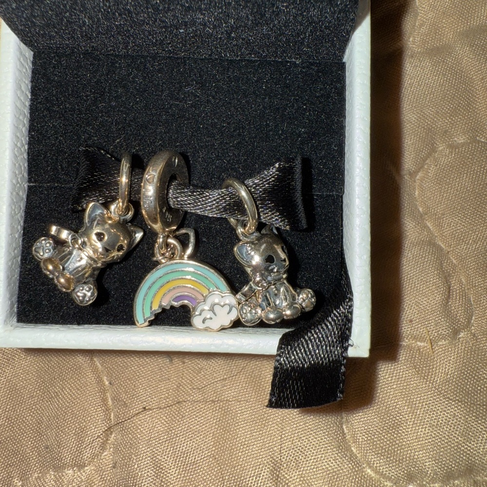 Silver Cat and Rainbow Pandora Charms